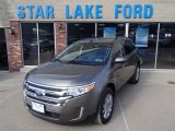 2013 Mineral Gray Metallic Ford Edge Limited AWD #79059153