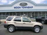 2007 Dune Pearl Metallic Ford Escape XLT V6 4WD #79157858