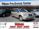 2010 Chrysler Town & Country Touring