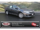 2013 Magnetic Gray Metallic Toyota Camry LE #79199871