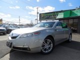 2009 Palladium Metallic Acura TL 3.5 #79200305