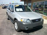 2005 Silver Metallic Ford Escape XLT V6 4WD #79263987