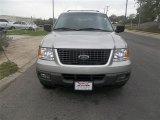 2004 Silver Birch Metallic Ford Expedition XLT #79263308