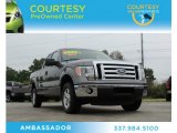 2012 Sterling Gray Metallic Ford F150 XLT SuperCab #79263691