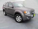 2010 Sterling Grey Metallic Ford Escape Limited #79263514