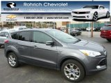 2013 Sterling Gray Metallic Ford Escape SEL 2.0L EcoBoost 4WD #79320682