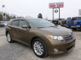 2009 Golden Umber Mica Toyota Venza AWD #79371877