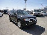 2011 Ford Escape XLT 4WD Front 3/4 View
