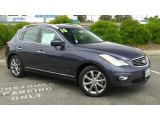 2010 Blue Slate Infiniti EX 35 Journey AWD #79427011