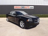 2013 Dodge Charger SE