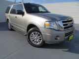 2009 Vapor Silver Metallic Ford Expedition XLT #79463310