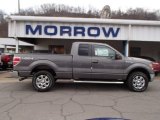 2013 Sterling Gray Metallic Ford F150 XLT SuperCab 4x4 #79463168