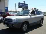 2005 Smart Silver Hyundai Santa Fe GLS #79463729