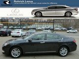 2010 Smoky Granite Mica Lexus ES 350 #79463267