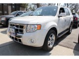 2010 White Suede Ford Escape Limited V6 4WD #79463375