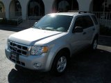 2008 Silver Metallic Ford Escape XLT V6 #7921626