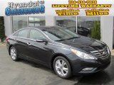 2013 Pacific Blue Pearl Hyundai Sonata Limited #79512894