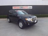 2010 Ford Escape XLT V6