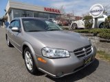 2001 Sterling Mist Metallic Nissan Maxima GLE #79513105