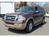 2012 Golden Bronze Metallic Ford Expedition XLT 4x4 #79513632