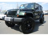 2010 Jeep Wrangler Unlimited Sahara 4x4