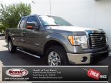 2012 Sterling Gray Metallic Ford F150 XLT SuperCab #79569191