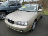 2003 Hyundai Elantra Champagne Beige