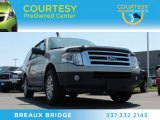 2007 Pueblo Gold Metallic Ford Expedition XLT #79713697