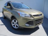 2013 Ford Escape SE 1.6L EcoBoost Front 3/4 View