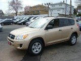 Sandy Beach Metallic Toyota RAV4 in 2010