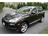 2009 Macadamia Metallic Porsche Cayenne Turbo #7967432