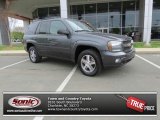 2007 Graystone Metallic Chevrolet TrailBlazer LT 4x4 #79872505