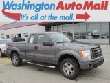 2010 Sterling Grey Metallic Ford F150 STX SuperCab 4x4 #79872198