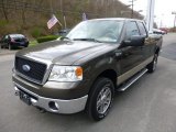 2008 Ford F150 XLT SuperCab 4x4 Data, Info and Specs