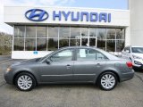 2010 Hyundai Sonata Limited