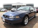 2001 True Blue Metallic Ford Mustang GT Coupe #7980878