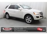 2010 Arctic White Mercedes-Benz ML 350 #79949969