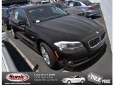 2013 Jet Black BMW 5 Series 528i Sedan #79949938
