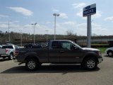2013 Sterling Gray Metallic Ford F150 XLT SuperCab 4x4 #79949646