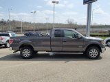 2013 Sterling Gray Metallic Ford F150 XLT SuperCab 4x4 #79949643