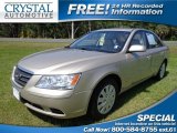 2009 Hyundai Sonata GLS