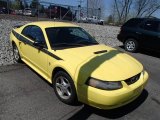 2002 Zinc Yellow Ford Mustang V6 Coupe #80076389