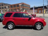 2011 Sangria Red Metallic Ford Escape XLT #80075965