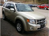 Gold Leaf Metallic Ford Escape in 2010