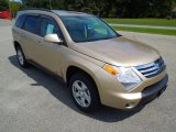 2007 Suzuki XL7 Prairie Gold Metallic