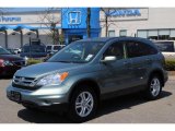 2010 Honda CR-V EX-L AWD