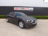 2013 Dodge Charger SE