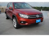 2013 Wild Cherry Metallic Volkswagen Tiguan SEL #80174738