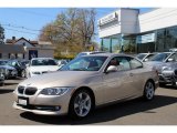 Orion Silver Metallic BMW 3 Series in 2013