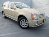 2008 Cadillac SRX 4 V6 AWD